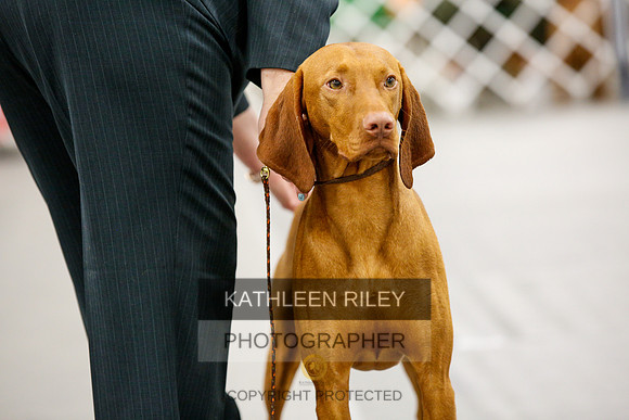 2022-KathleenRileyPhotography-1709
