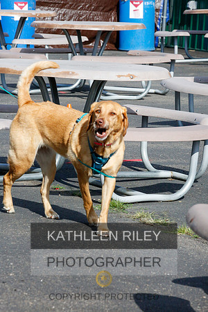 2022-KathleenRileyPhotography-9749