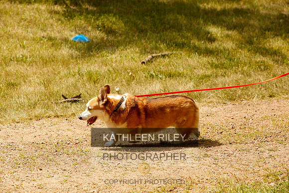 2022-KathleenRileyPhotography-0351