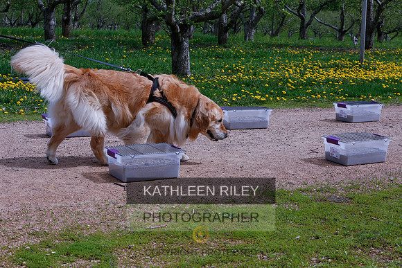 2022-KathleenRileyPhotography-8744