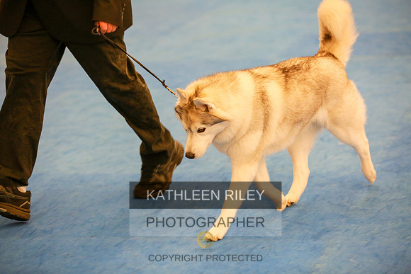 2022-KathleenRileyPhotography-5253