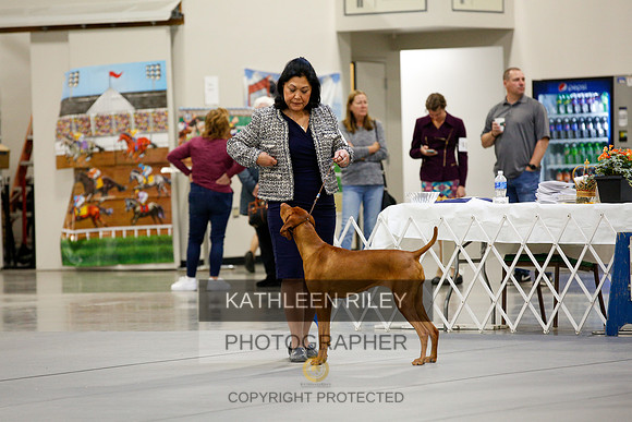 2022-KathleenRileyPhotography-9522