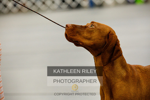 2022-KathleenRileyPhotography-9793
