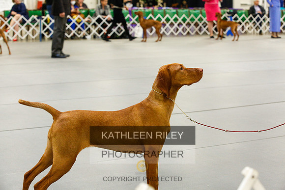 2022-KathleenRileyPhotography-9641