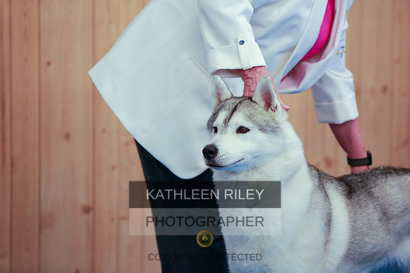 2022-KathleenRileyPhotography-6376