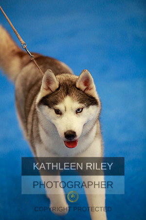2022-KathleenRileyPhotography-5691
