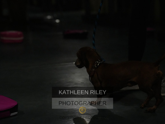 2022-KathleenRileyPhotography135