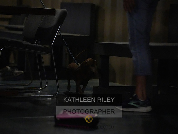 2022-KathleenRileyPhotography138