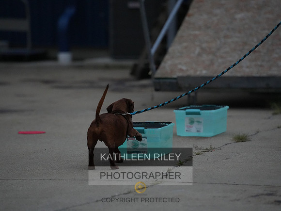 2022-KathleenRileyPhotography121