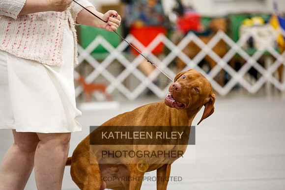 2022-KathleenRileyPhotography-1981