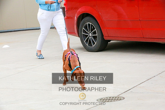 2022-KathleenRileyPhotography-7604