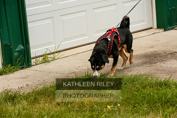 2022-KathleenRileyPhotography-0370
