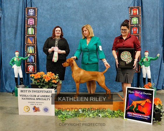 BEST-IN-SWEPS-2022-KathleenRileyPhotography-7055 (1)