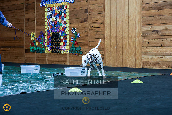 1N5A0709
