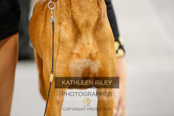2022-KathleenRileyPhotography-1572