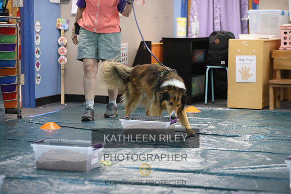 1N5A1086