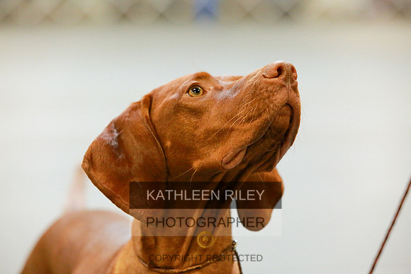 2022-KathleenRileyPhotography-8804