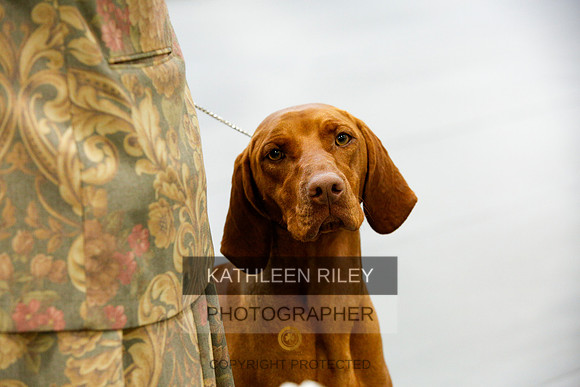 2022-KathleenRileyPhotography-9459