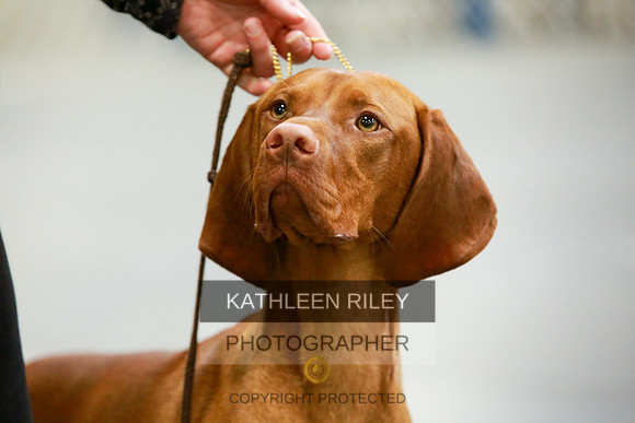 2022-KathleenRileyPhotography-8621