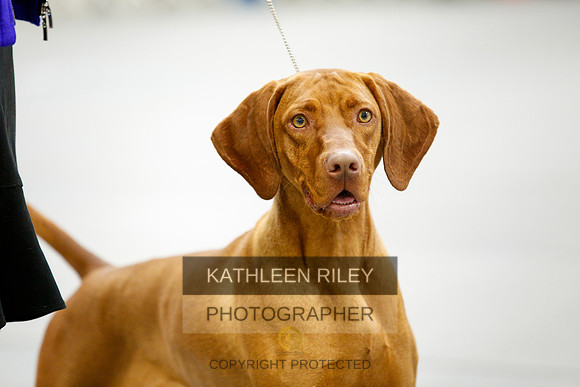 2022-KathleenRileyPhotography-9710