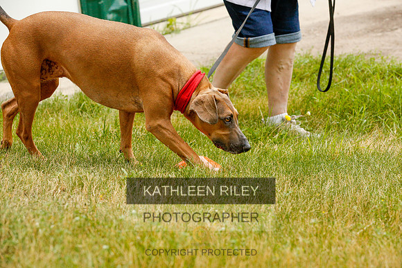 2022-KathleenRileyPhotography-0385