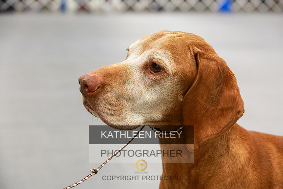 2022-KathleenRileyPhotography-8058