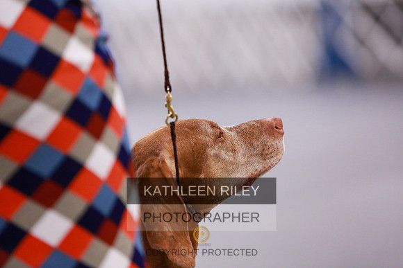 2022-KathleenRileyPhotography-7966