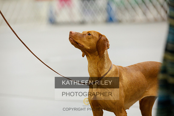2022-KathleenRileyPhotography-9818