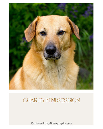 Charity Mini Session