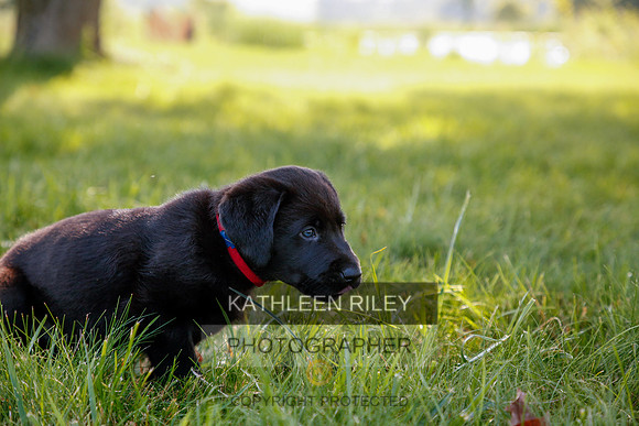 2022-KathleenRileyPhotography-5611