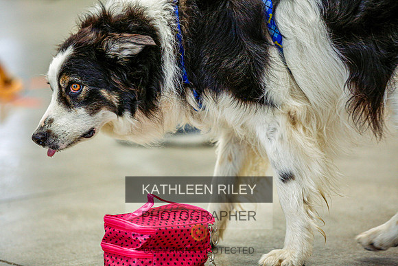 2022-KathleenRileyPhotography-7243