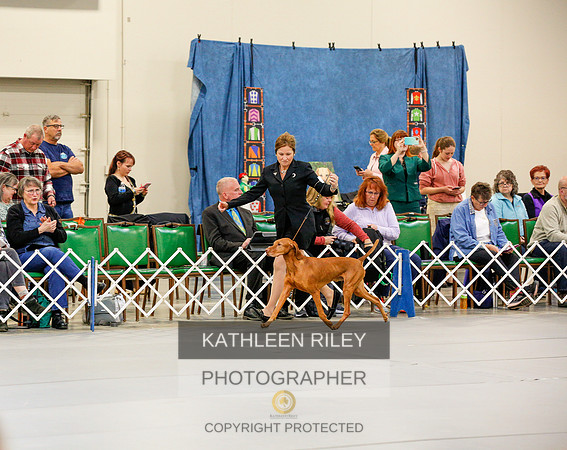 2022-KathleenRileyPhotography-1016