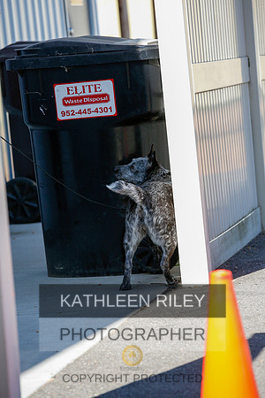 2022-KathleenRileyPhotography-4051