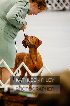 2022-KathleenRileyPhotography-0881 (1)