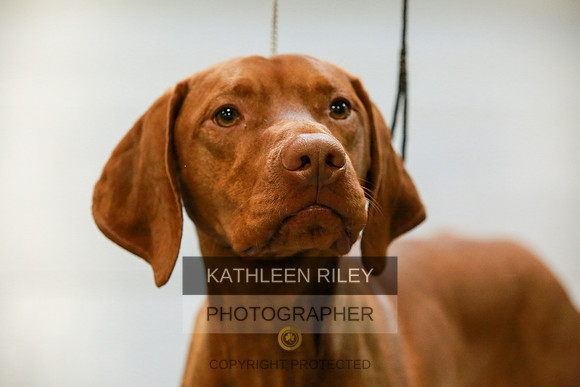 2022-KathleenRileyPhotography-8674