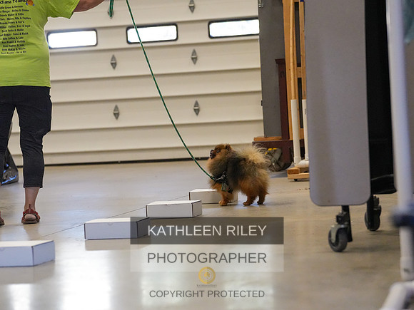 2022-KathleenRileyPhotography-03828