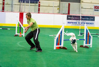 AKC World Agility Trial 2014 Ringside Candids