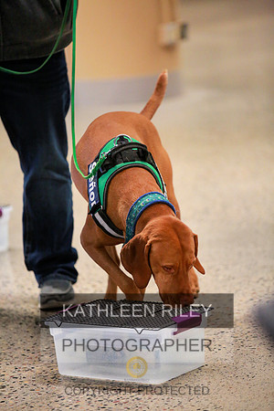 2022-KathleenRileyPhotography-7567 (1)