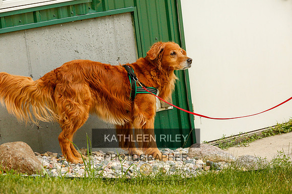 2022-KathleenRileyPhotography-0337
