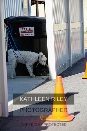 2022-KathleenRileyPhotography-4083