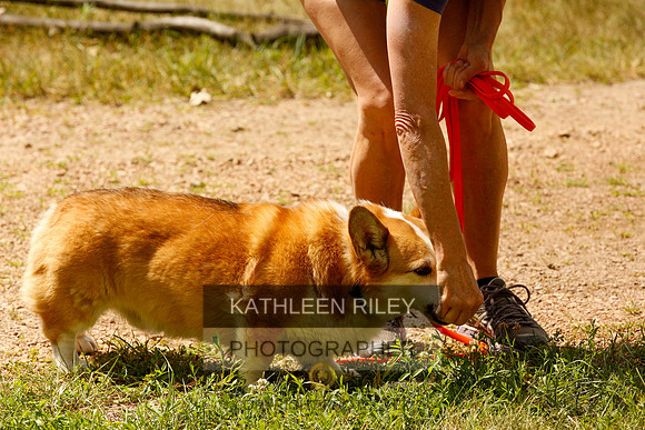 2022-KathleenRileyPhotography-0354