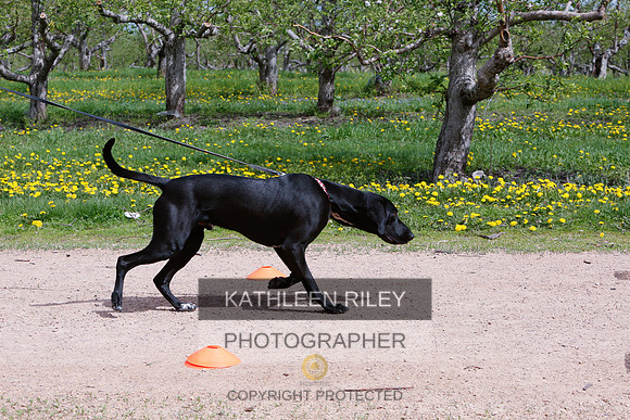 2022-KathleenRileyPhotography-8773
