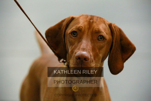2022-KathleenRileyPhotography-8853