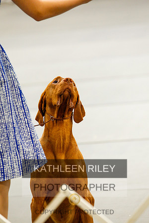 2022-KathleenRileyPhotography-0844