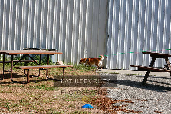 2022-KathleenRileyPhotography-9479