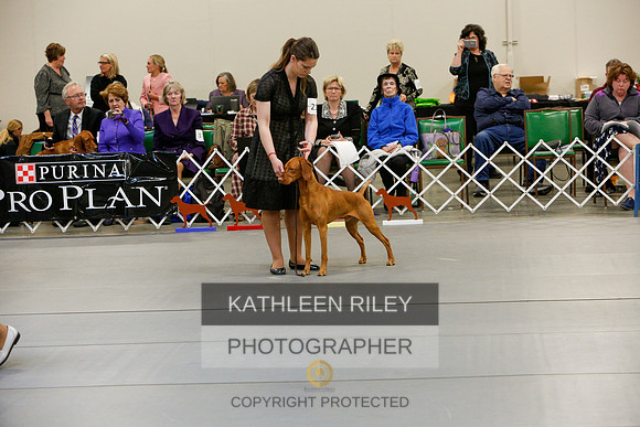 2022-KathleenRileyPhotography-5896