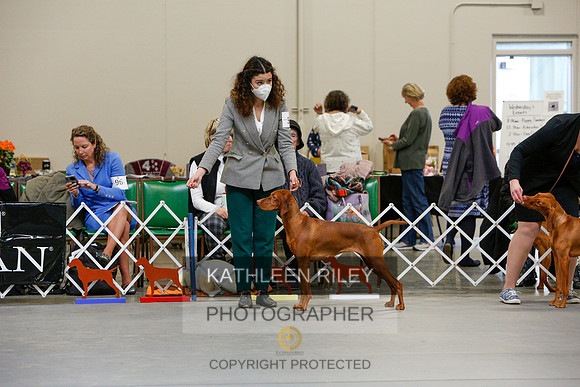 2022-KathleenRileyPhotography-2437