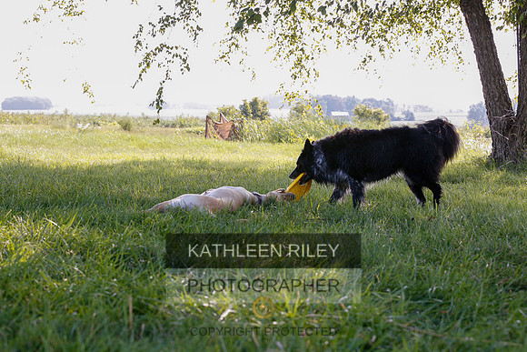 2022-KathleenRileyPhotography-7935