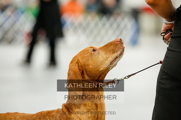 2022-KathleenRileyPhotography-0118