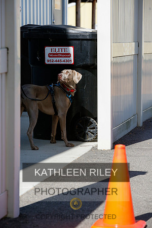 2022-KathleenRileyPhotography-3944